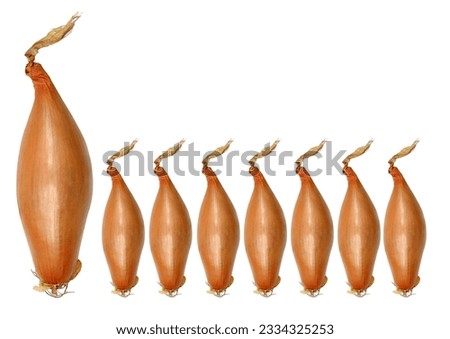Shallot onions in an abstract design over white background.