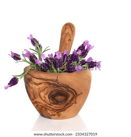 Lavender herb flowers in an olive wood mortar with pestle, over white background.