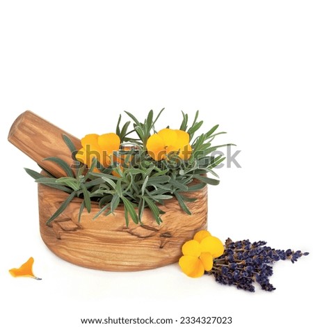 Lavender herb leaf and flower sprigs and viola flowers with an olive wood mortar with pestle, isolated over white background.