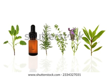 Sage, lavender, rosemary, lemon thyme and bay leaf herbs, with an aromatherapy essential oil dropper bottle, over white background with reflection.