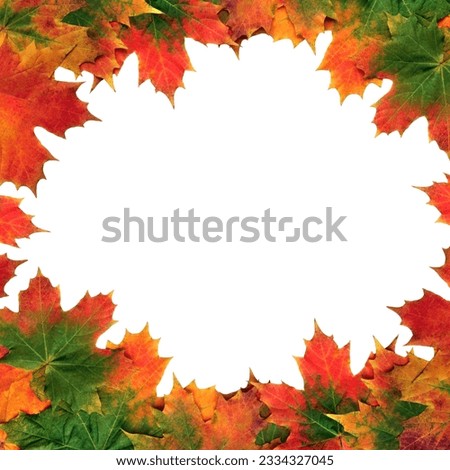 Maple leaf abstract design forming a border over white background.