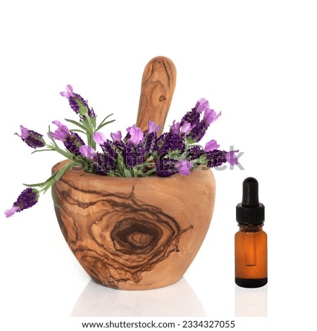Lavender herb flowers in an olive wood mortar with pestle, with an aromatherapy essential oil glass dropper bottle, over white background.