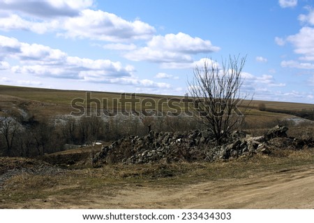 Spring landscape-trees, rocks, shrubs, under the open sky