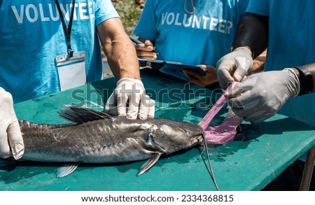 team of volunteers research fish by pulling trash out of its mouth, impact of plastic pollution in ocean, waterway, sea habitat and marine life, waste management can protect the environment Royalty-Free Stock Photo #2334368815