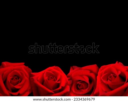 Frame of red roses on a black background