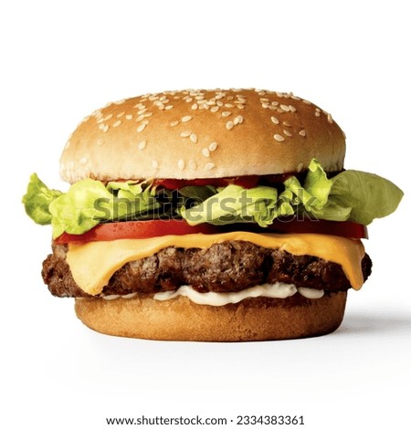 Burger PNG in white background