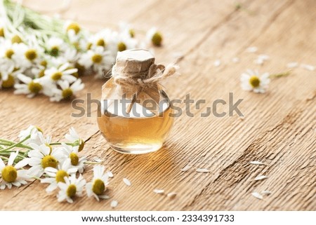 Chamomile essential oil on rustic wooden background with fresh flowers nearby, copy space, natural medicine, organic remedy for sleep, skin care, stress and depression therapy