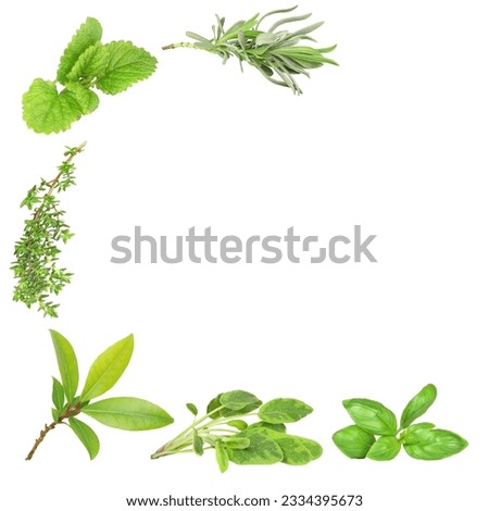 Abstract of herb leaf sprigs of lavender, lemon balm, thyme, bay, sage and basil, over white background.
