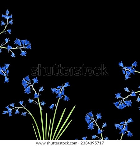Abstract design of bluebell flowers forming a border, over black background.
