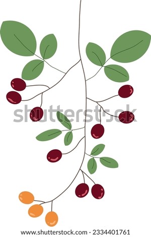 Guelder rose wildflower decor element flat icon. Vector illustration. Floral Twig with Berry and Leaves as Cute Foliage Vector Illustration. foliage berry branch floral icon isolated design vector 