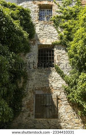 Abstract photo of a historical building in the castle complex. A still life, a bunny. A building with barred windows. The building is overgrown with climbing plants. Stone, material, window, lattice, 