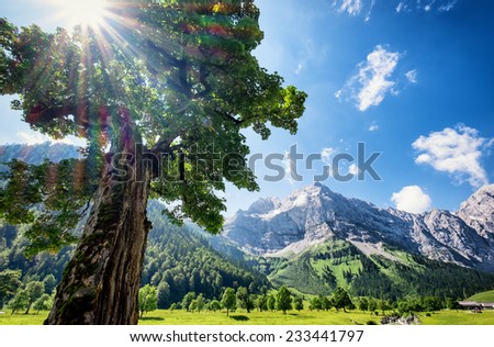 karwendel mountains in austria - european alps