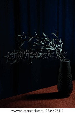Dark still life with dried eucalyptus branch in a black vase on the table.