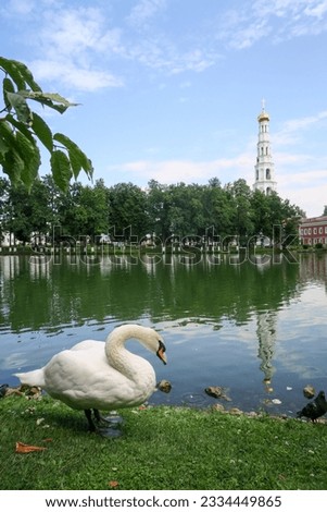 A swan swims in the lake near the temple. the church and trees are reflected in the water, birds are swimming.                       