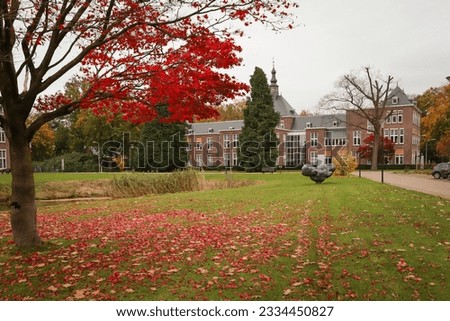 Colorful forest in autumn and falling leaves 