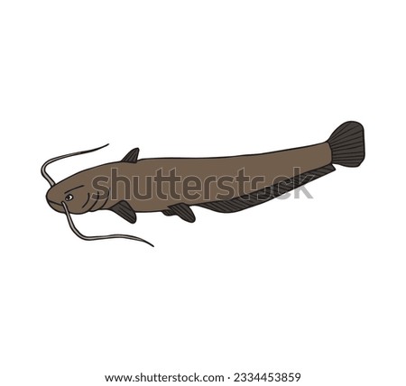 Vector hand drawn doodle sketch colored catfish fish isolated on white background