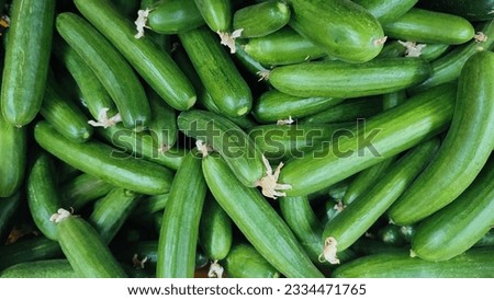  green cucumbers fresh vegetables lie in the grocery store, fresh food, vegetarianism. High quality photo Royalty-Free Stock Photo #2334471765