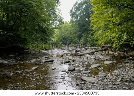 Shallow Creek in the Summer with Lots of Trees Royalty-Free Stock Photo #2334500733