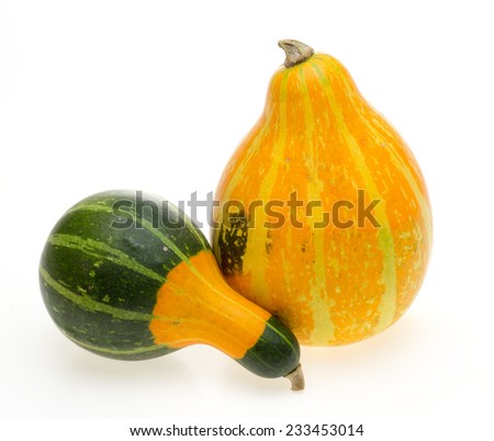Decoration pumpkin