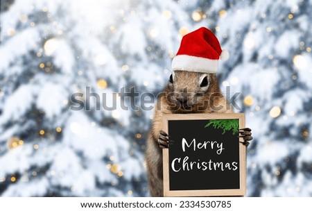 Cute chipmunk in red Santa hat holding sign with Merry Christmas greeting with defocused festive wintery background
