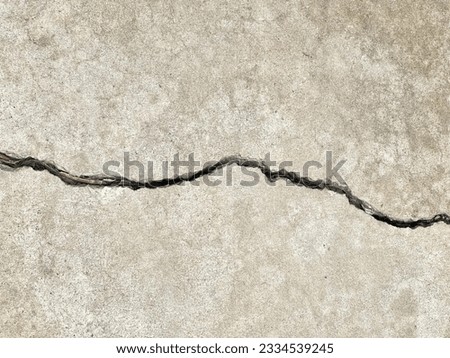 a photography of a crack in the concrete shows a crack in the ground, crack in concrete with a green plant growing out of it.