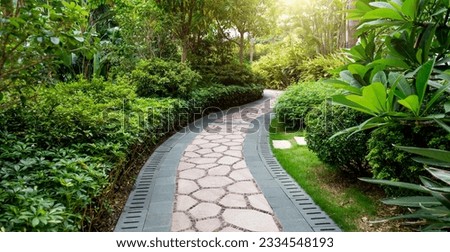 Beautiful stone garden path during day time