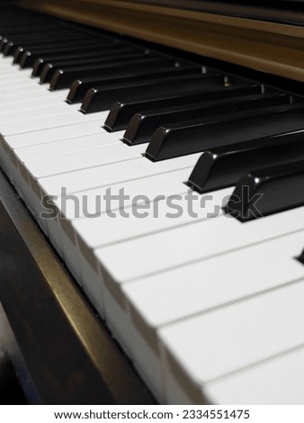 Black keys and white keys on an electric piano.