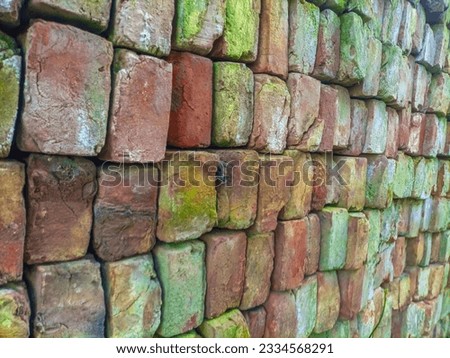 Many Colorful old bricks are laid one on top of the other while wearing moss.