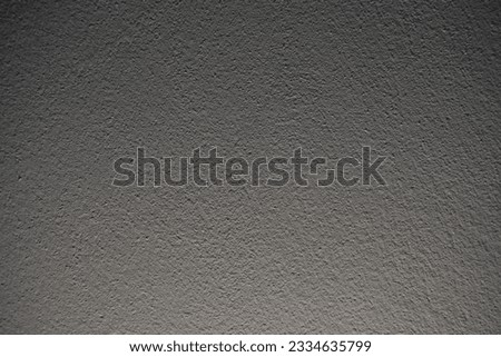 Photo background with a mural with beautiful plaster marks. All with black and white tones.