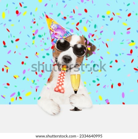jack russell terrier puppy wearing party cap blows into party horn holds glass of champagne. isolated on white background
