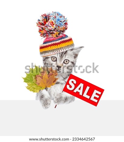 Kitten wearing warm winter hat holds dry leaves and shows signboard with labeled "sale" above empty white banner. isolated on white background