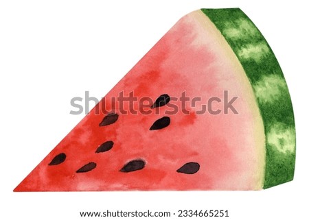 Watercolor drawing of watermelon.  Drawn by hand.