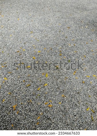 Stone and leafs on the floor
