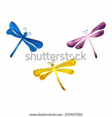 Dragonflies isolated on white background. Watercolor Vector illustration