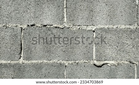 Close-up cement wall for background.