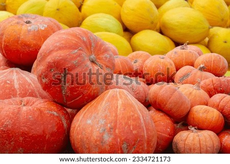 Close-up orange and yellow pumpkins piled up. Sale of pumpkins and autumn harvest.