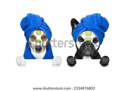 row or group of dogs with beauty facial cream mask on face behind blank banner or placard, isolated on white background