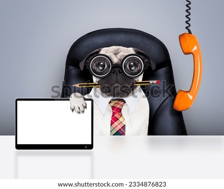 office businessman pug dog with pen or pencil in mouth , behind laptop pc tablet screen computer, sitting on a leather chair