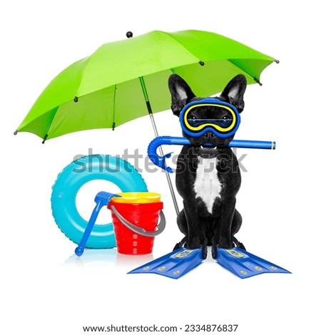 Snorkeling scuba diving french bulldog dog with mask and fins and umbrella, isolated on white background