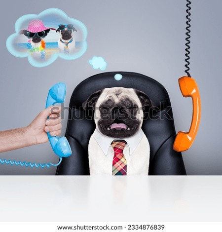 office businessman pug dog as boss and chef , busy and burnout , sitting on leather chair and desk, in need for vacation