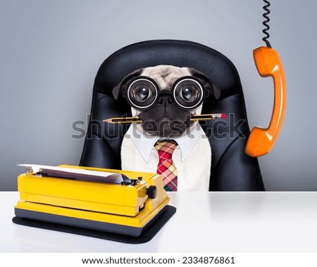 office businessman pug dog as boss and chef , with typewriter as a secretary, sitting on leather chair and desk, in need for vacation