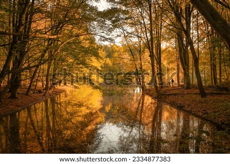 Amsterdam forest in autumn colours