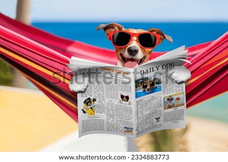 jack russell dog relaxing on a fancy red hammock with red sunglasses reading newspaper or magazine, on summer vacation holidays at the beach