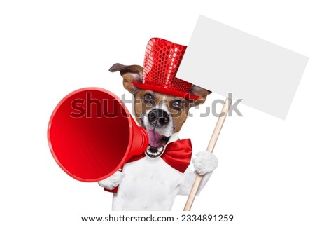 jack russell dog ,shouting and advertising sale discount with retro megaphone or big microphone holding white blank placard or blackboard, isolated on white background