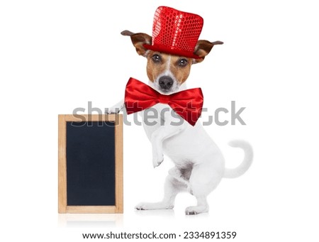 jack russell terrier dog isolated on white background , funny party hat and tie, holding a blackboard or placard with paw