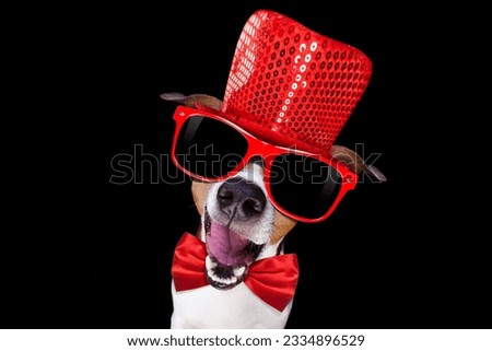 jack russell terrier dog isolated on black background , with sunglasses and funny party hat and tie