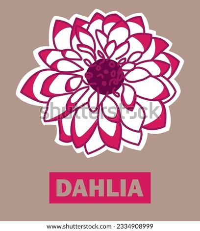 An illustration of a pink dahlia with the word "dahlia" written on it. This can be used as an idea for a logo or for presentations, designs.