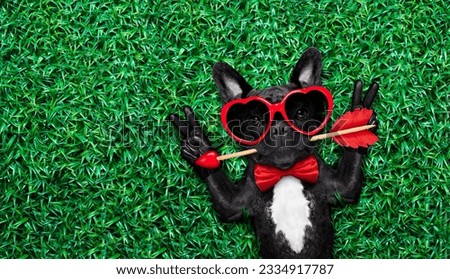 valentines french bulldog dog in love holding a cupids arrow with mouth ,wearing sunglasses,lying on meadow grass in park , with peace or cool victory fingers, negative space to left