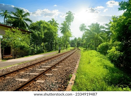 Railroad through green palm forest in Sri Lanka