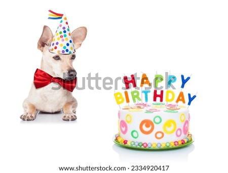 chihuahua dog hungry for a happy birthday cake with candles ,wearing red tie and party hat , isolated on white background